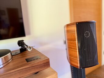 Sonus Faber Olympica I. - 5