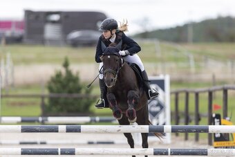 Klisna pony - 5