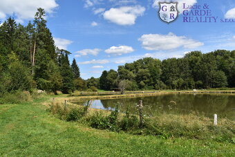 Prodej, pozemek s rybníky, Božetice - 5