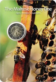 Euro pametni mince 2024 - mozne predani v Praze - 5