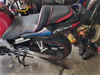 Honda CBR 600 F4i - 2004 - 5