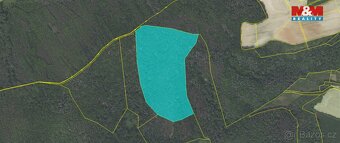 Prodej lesa, 62499 m², Trubín - 5
