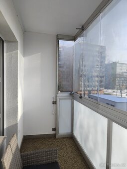 Pronajmu byt 2+1 - 5