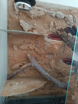 Prodám terárium - 5