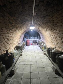 Vinný sklep Dolní Kounice - 5