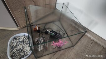 akvárium pro BETU, nebo neonky - 5