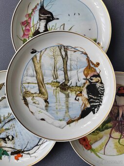 Sběratelsky talíře "Birds of thé country year" Martin Camm - 5