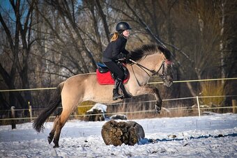 Polský pony - 5
