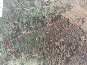 Prodej lesního pozemku - 5