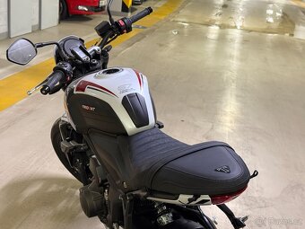 Triumph Trident Triple Tribute Edition 660 - 5