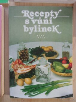 5x BYLINKY, BYLINKÁŘSTVÍ, PORADNA.... - 5