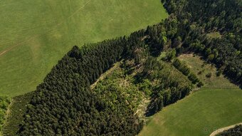 Lesní pozemky Heřmánkovice - 20336 m2 - 5