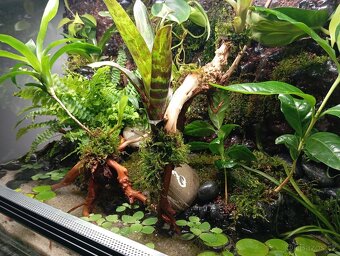 NOVÉ vybavené PALUDÁRIUM s vodopádem - 5