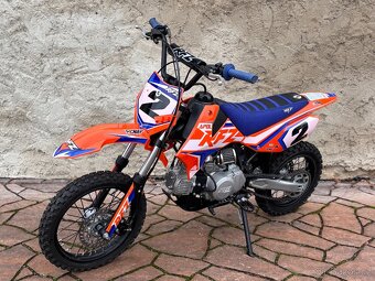 PIT BIKE APOLLO RFZ 12/14 - 5