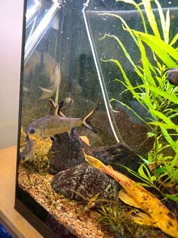 Akvárium 290l s vybavením - 5