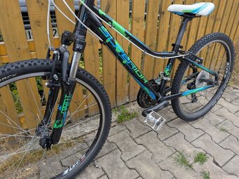 Superior XC 24 Paint - 5