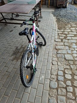 Dětské kolo Nipper Corel Kids 24" - 5