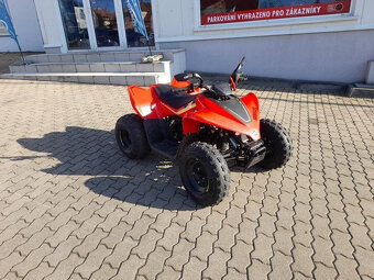 GLADIATOR X110LE - 5