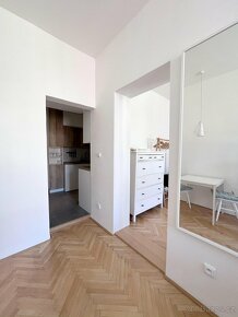 Pronájem bytu 2+1, 39 m², ul. Pekařská, Brno-Staré Brno. - 5