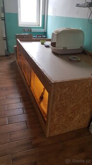terarium - 5