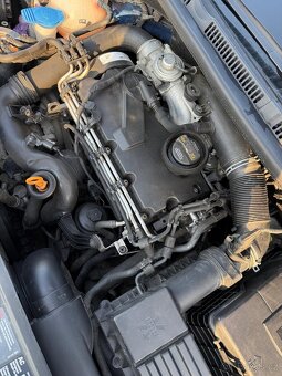 Volkswagen Golf Plus 1.9 TDI 66KW - 5