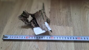 Akvarijní Dřevo - 5