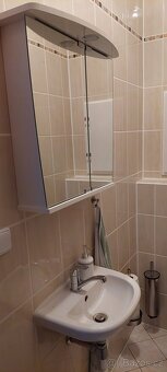 Sprchový kout,Wc,umyvadlo,zrcadlo se skříňkou - 5