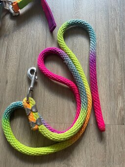 Barevná ohlávka a vodítko - 5