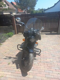 Indian Chief 2022 - 5