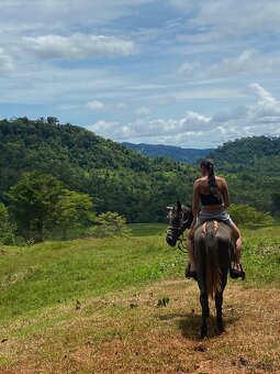 Pozemky a domy Kostarika - 5