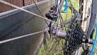 dartmoor Hornet 2012 Mini Mullet - 5