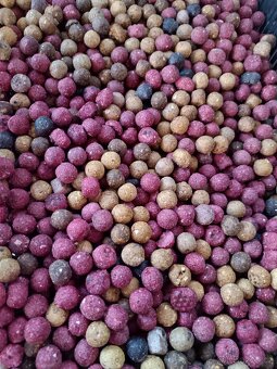 Odpadové Boilies 40 Kč 1 kg - 5