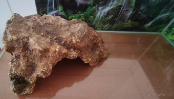 Akvárium - terárium + želva. - 5