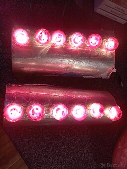 Muchomůrky vánoční - 5