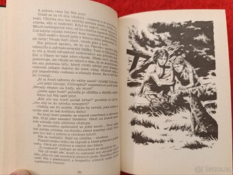 HRDINA NIK - Eduard Štorch - 5