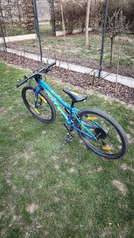 Amulet Tomcat 24" - 5