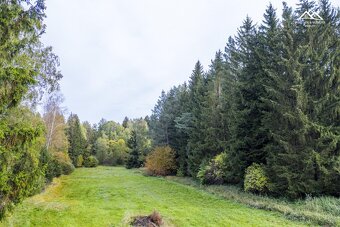 Prodej lesa, 2232 m2, Všeradov - 5