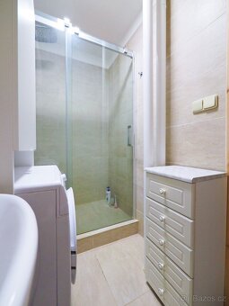 Dlouhodobý pronájem bytu 2+1 (54 m²) - 5