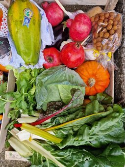 Luxusní prodejní stánek - 5