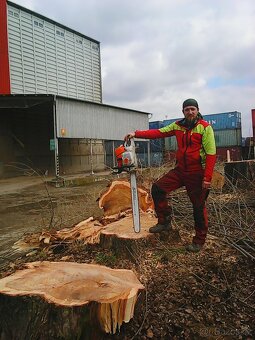 Kácení a ořezy stromů Hranicko - 5