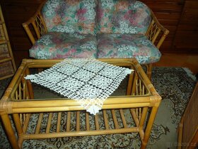 Vietnamský bambus - 5