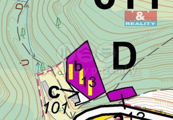 Prodej lesa, 2745 m², Ústí nad Orlicí - 5