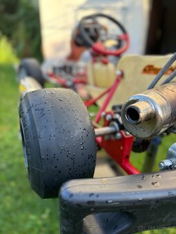 Motokára Birel Art Easykart 60cc - 5