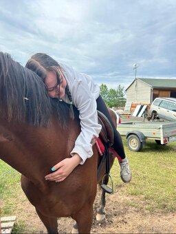 PODZIM U KONÍ 🍂 - 5