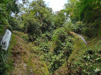 Farma Kostarika Golfito - 5