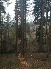 Lesní pozemek 3,4ha, KÚ Frýdlant nad Ostravicí - 5