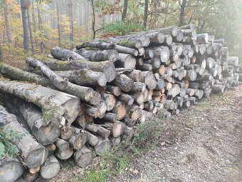 Levné palivové dřevo Žatec ( AKCE vše suché) - 5