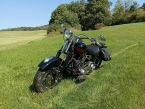 Harley Davidson FLSTS Heritage Springer - 5