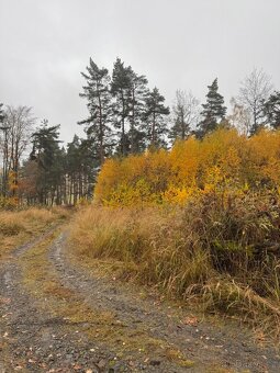 Prodej lesních pozemků k.ú. Úboč - 5
