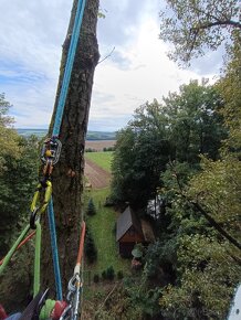 Rizikové kácení, ořezy stromů, řez ovocných stromů
- 5